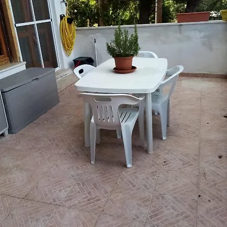 Roberto *